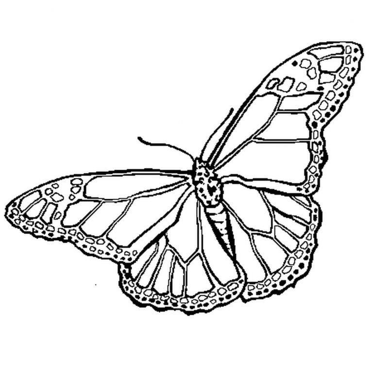 Coloriage Papillon Simple À Imprimer Sur Coloriages tout Dessin A