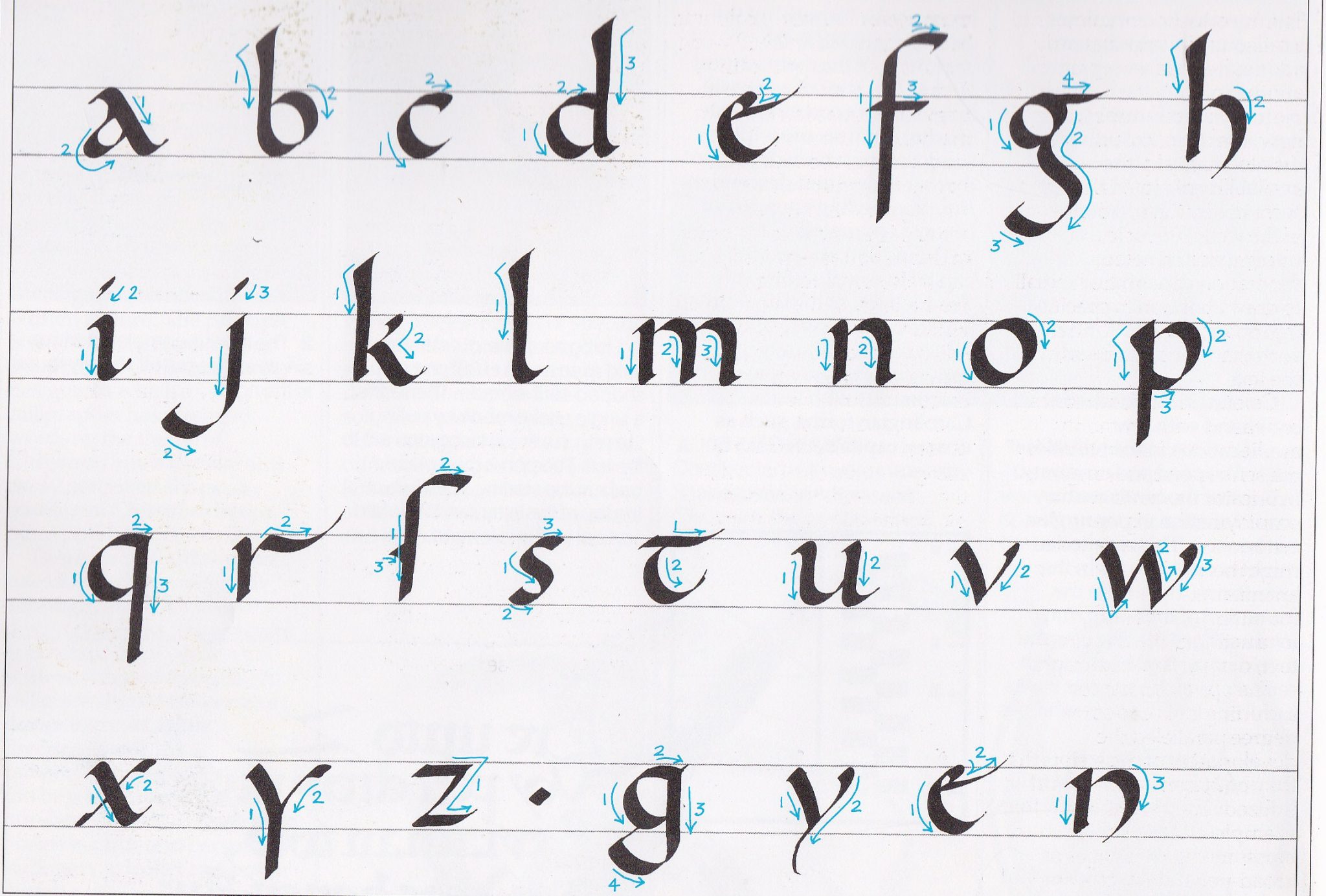 Alphabet Script Minuscule Primanyc