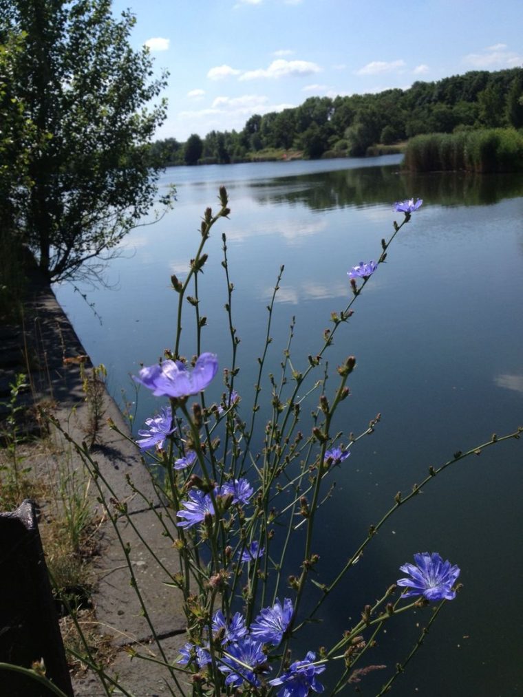 beauty & nature leipzig