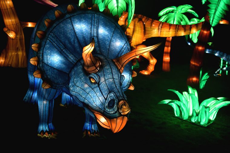 kölner zoo china light festival 2021