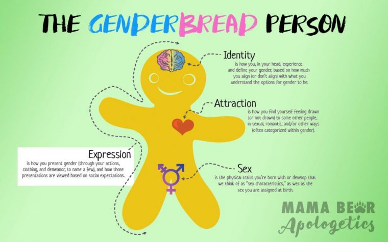 genderbread person deutsch