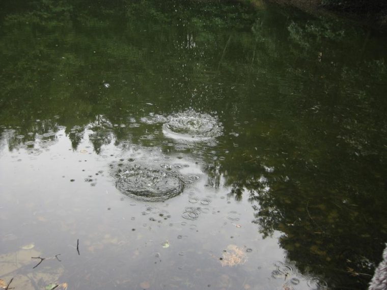 vom wasser abgerundeter stein