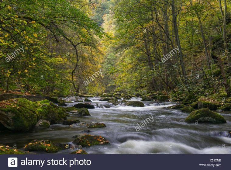 stadt ander bode am harz