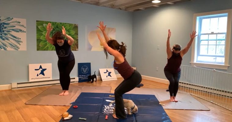 puppy yoga deutschland