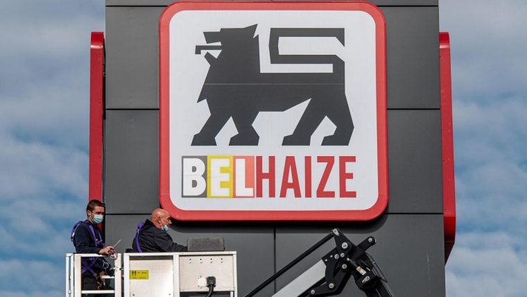 delhaize losheim angebote