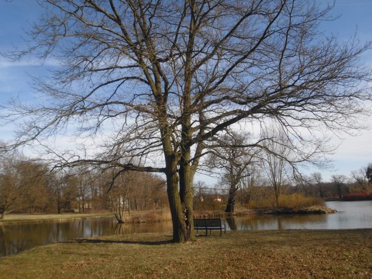 fürstlich drehna park