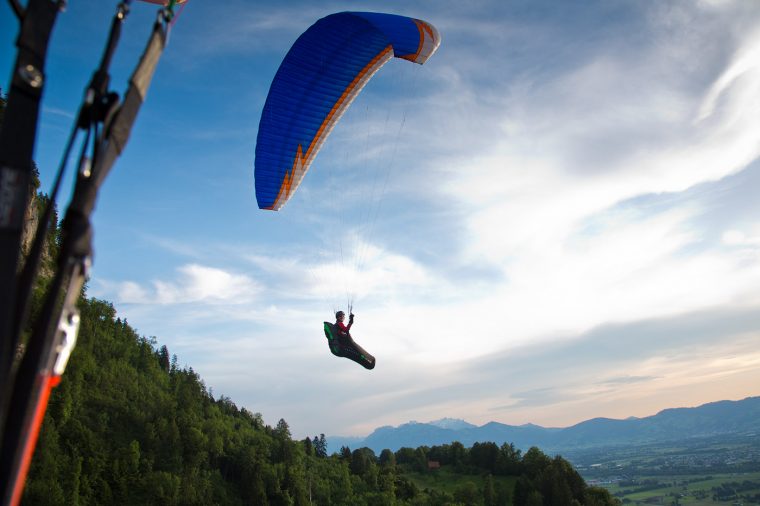 fliegen sich schnell bewegen