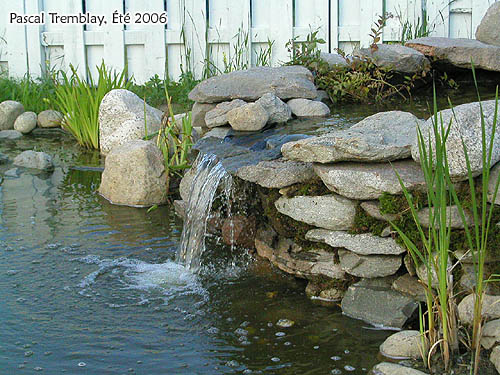 chute d eau bassin de jardin