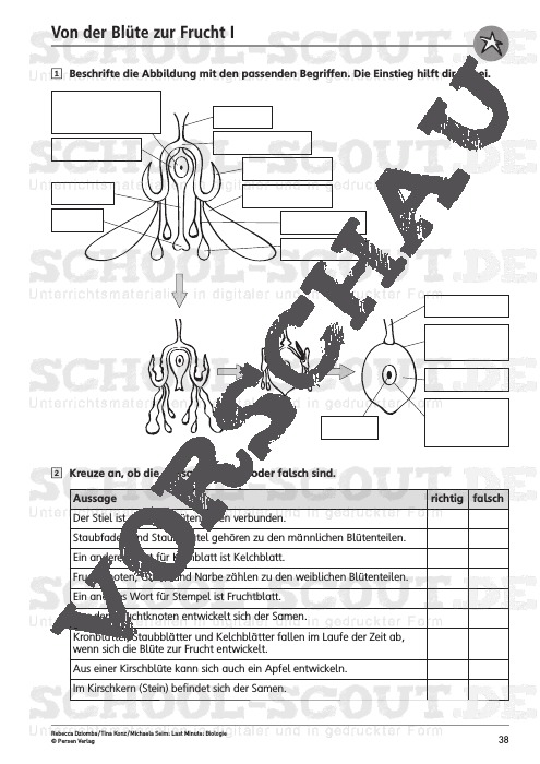 biologie klasse 6 arbeitsblätter kostenlos