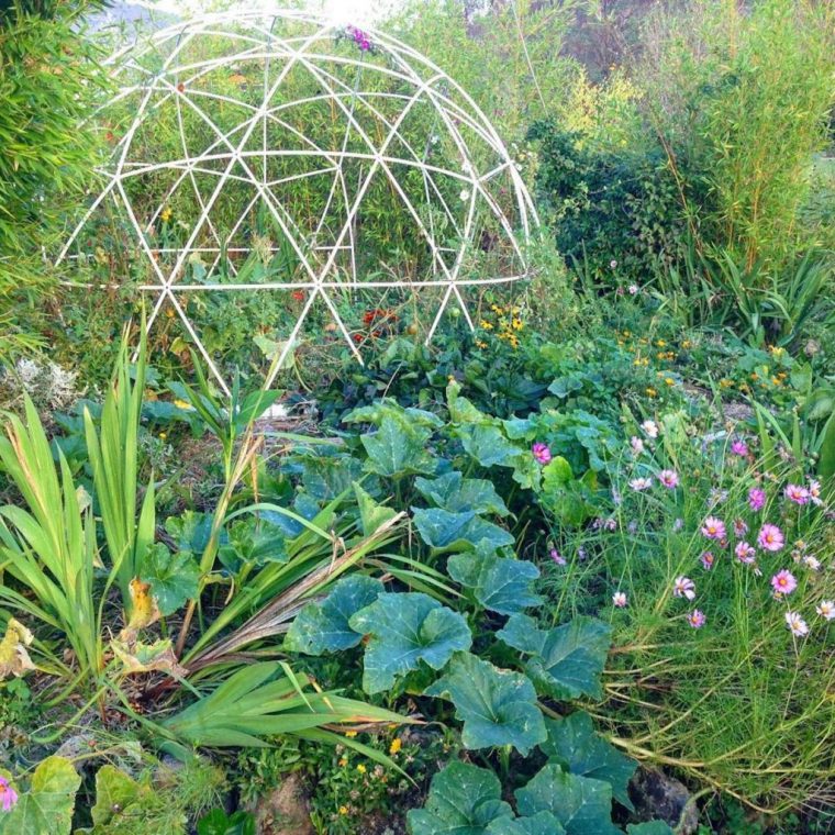 bulle de jardin prix