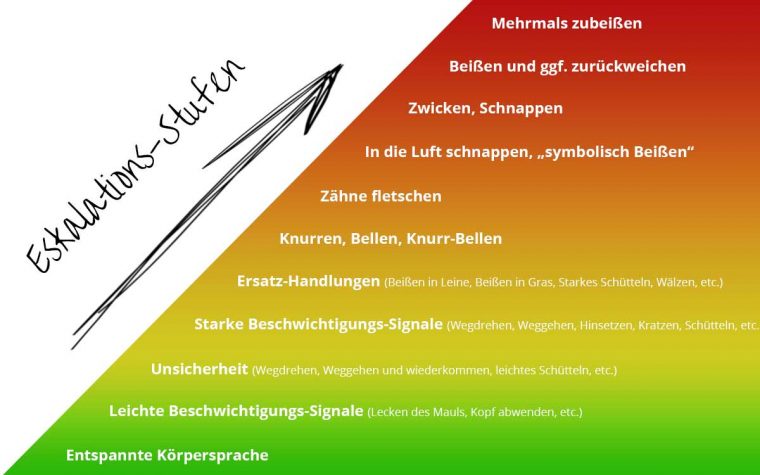 12 grundregeln der deeskalation