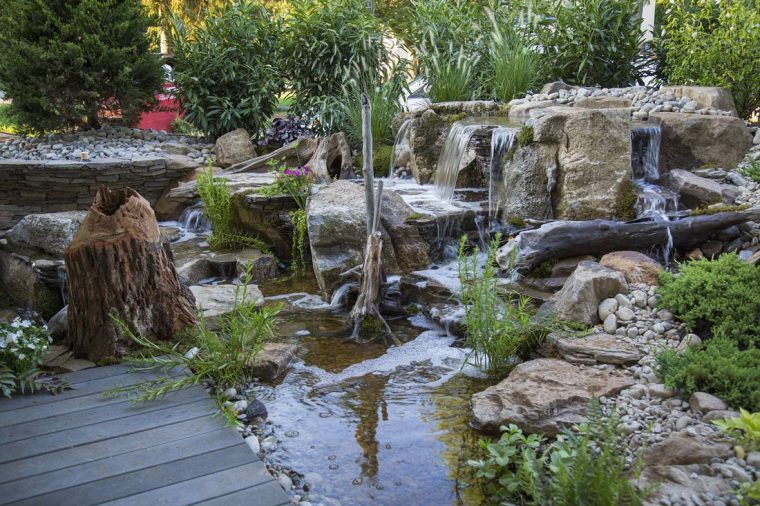 creation cascade bassin jardin