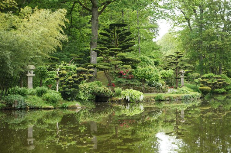 jardin japonais sur terrasse