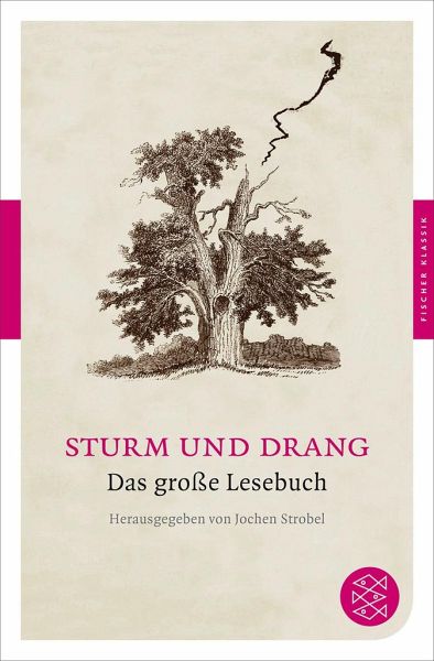 liebeslyrik sturm und drang