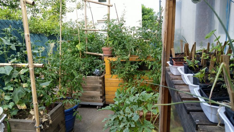 jardin potager de balcon