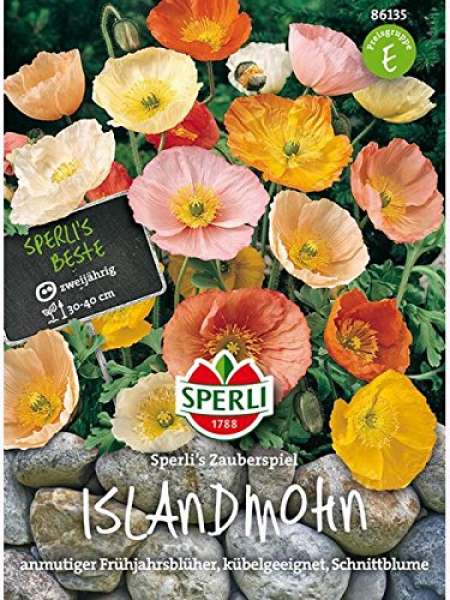 islandmohn im kübel