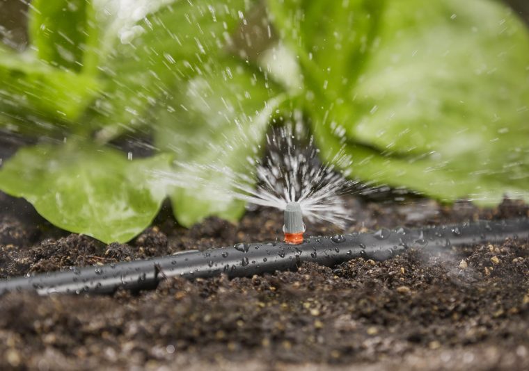 goutte a goutte jardin