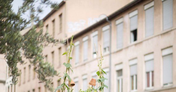 marie claire idées jardin