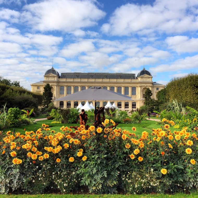 les plantes de jardin