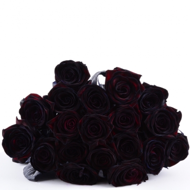 schwarze rose verweise