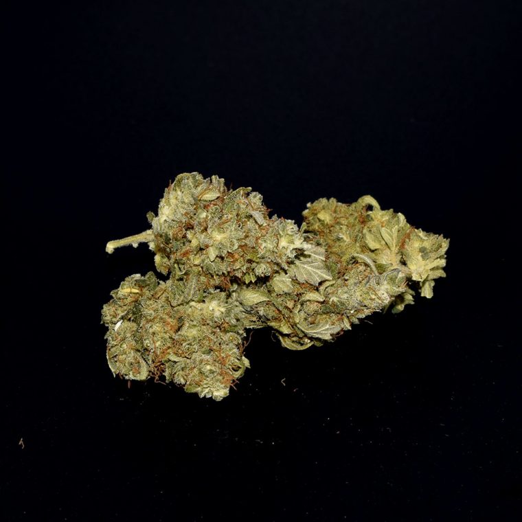 lemon haze kaufen