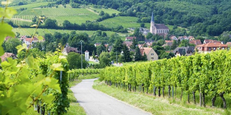 münstertal elsass wandern