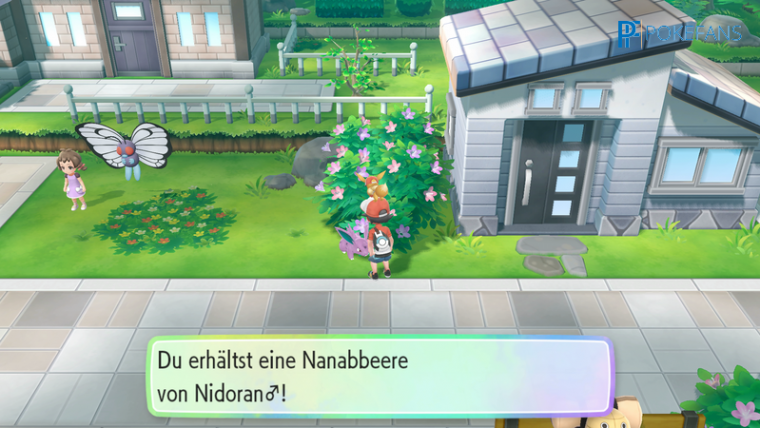 pokemon let’s go evoli mondstein