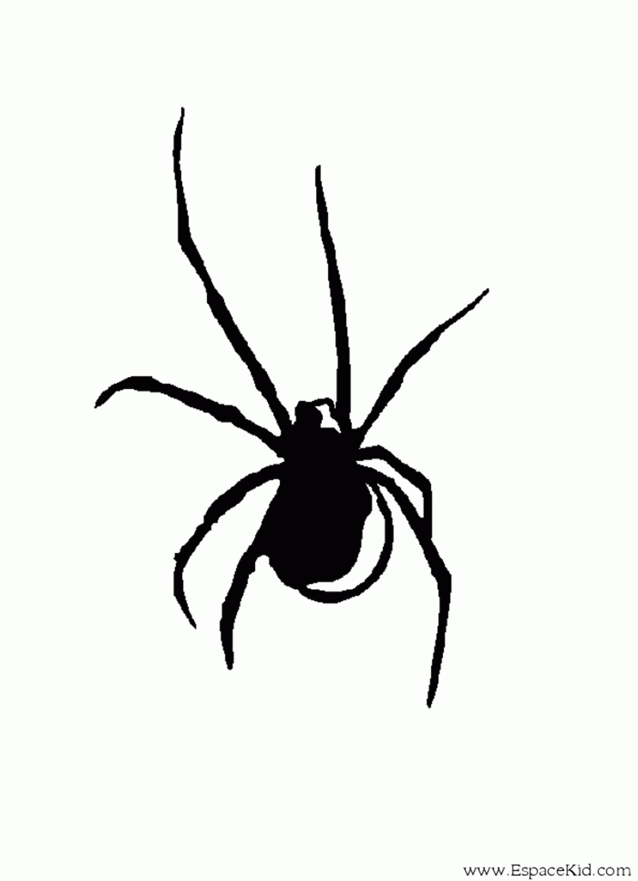 10 Preuves Que Les Araignées Sont Les Pires Créatures Au Monde pour Dessiner Une Araignee