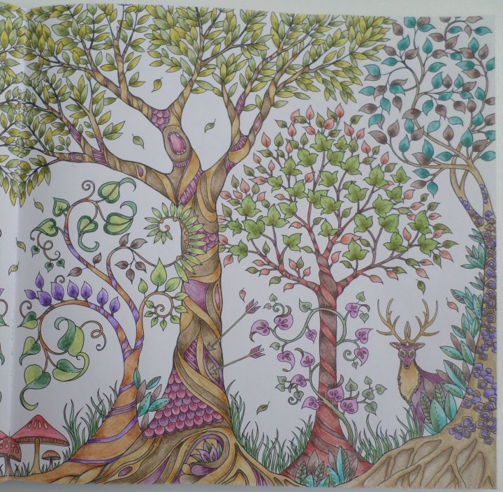 107530300_O (2048×2005) | Coloriage Forêt, Dessin Foret pour Dessin De Foret