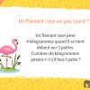 12 Devinettes Et Énigmes Pour Enfants &gt; Mes Jeux Educatifs encequiconcerne Jeux 5 Ans Gratuit Français
