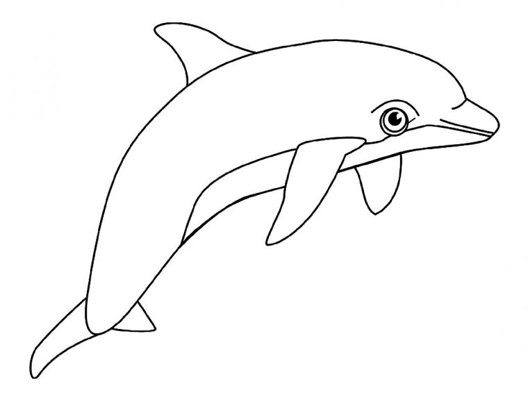 121 Dessins De Coloriage Dauphin À Imprimer dedans Dessin Dauphin À Imprimer