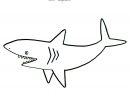 122 Dessins De Coloriage Requin À Imprimer serapportantà Dessin De Requin À Imprimer
