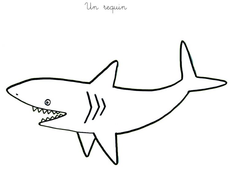 122 Dessins De Coloriage Requin À Imprimer serapportantà Dessin De Requin À Imprimer