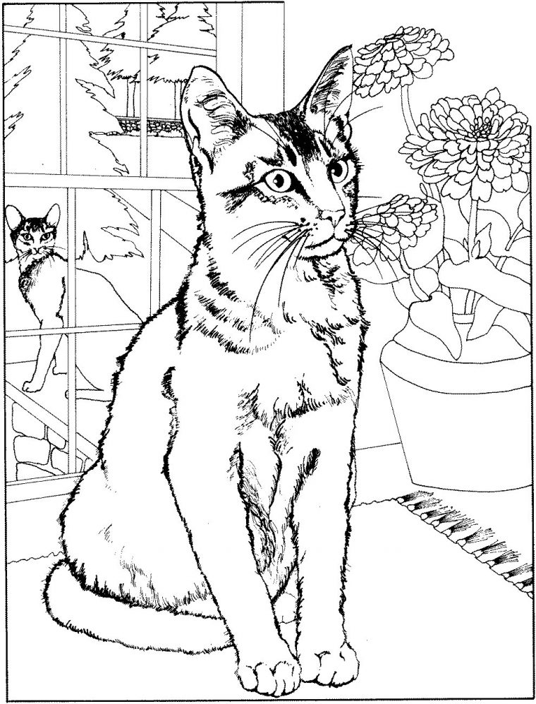 131 Dessins De Coloriage Chat À Imprimer tout Coloriage De Chat De Noel