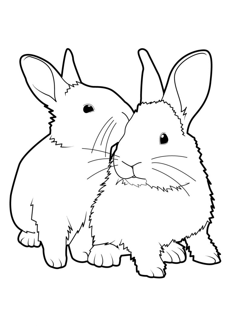 131 Dessins De Coloriage Lapin À Imprimer serapportantà Dessin De Lapin A Imprimer