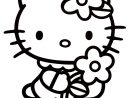 143 Dessins De Coloriage Hello Kitty À Imprimer concernant Hello Kitty À Dessiner