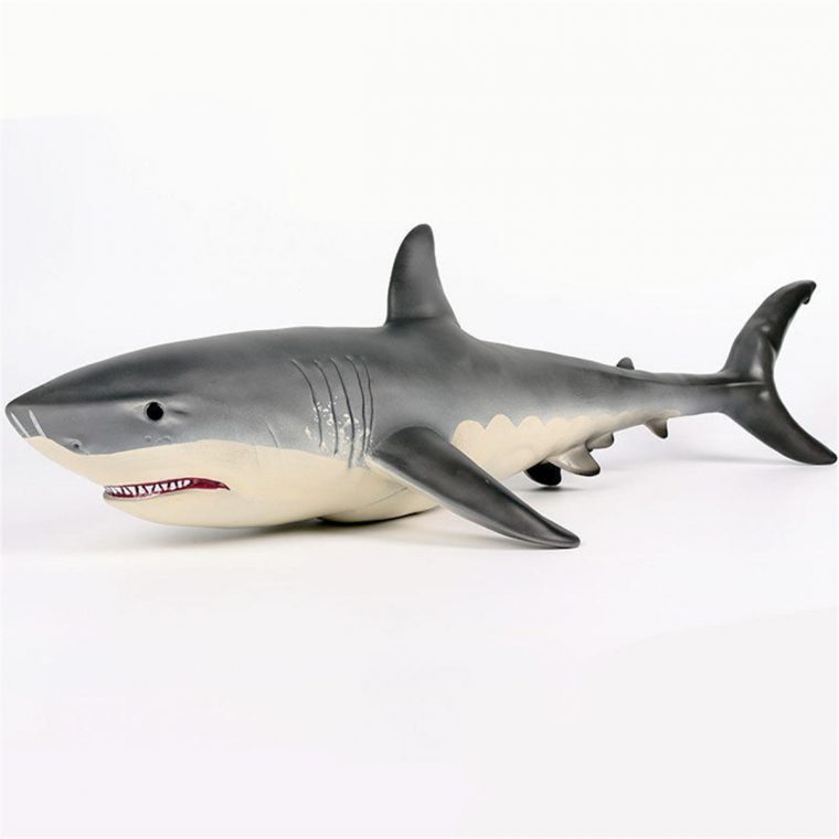 19 Pouces Grande Taille Megalodon Grand Requin Blanc Jouet Modèle Moulé  Sous Pression Modèle Figure Jouet Cadeau encequiconcerne Voiture Requin Jouet