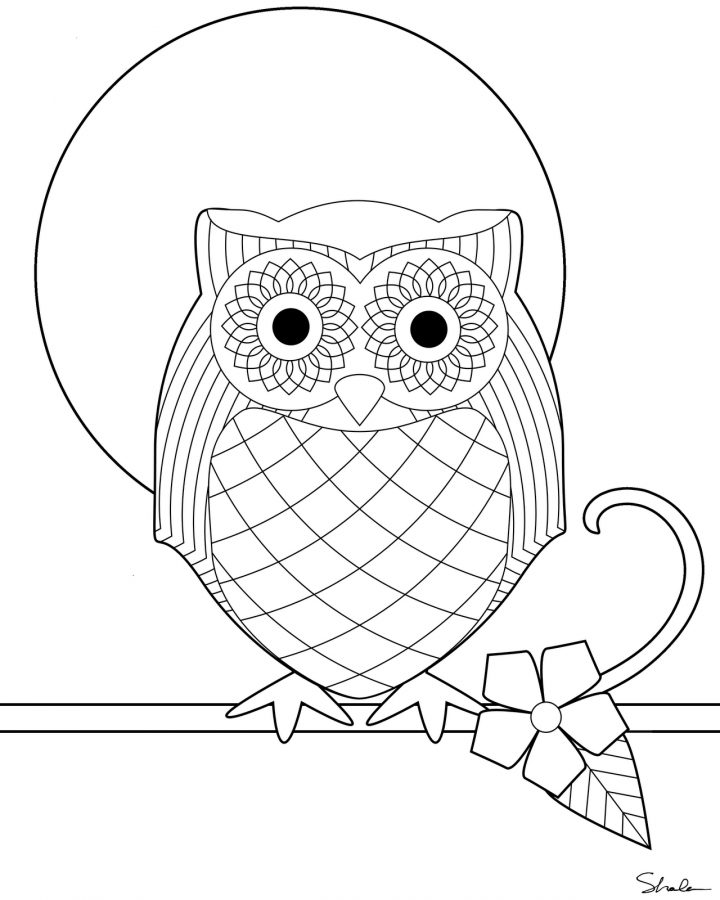 24 Dessins De Coloriage Hibou À Imprimer pour Hibou A Imprimer