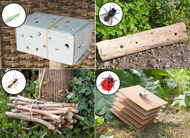 abris pour insectes du jardin