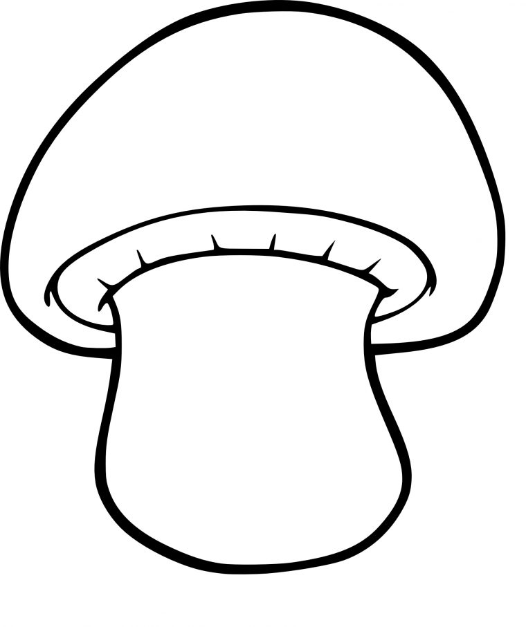 36 Dessins De Coloriage Champignon À Imprimer tout Dessiner Un Champignon