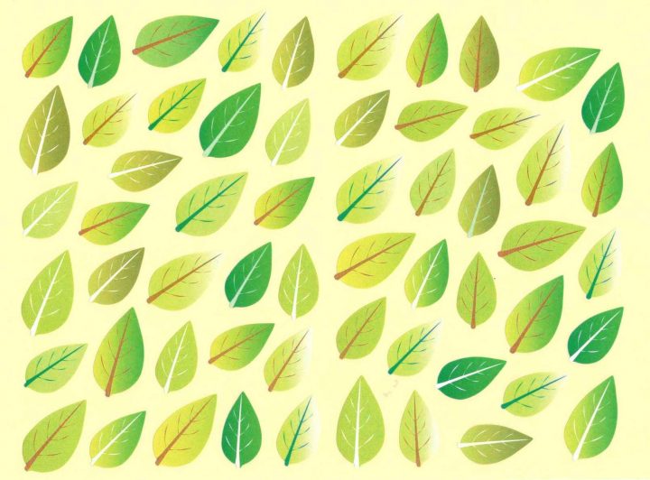 56 Gommettes Feuilles Peuplier Au Printemps avec Dessin De Feuille D Arbre À Imprimer