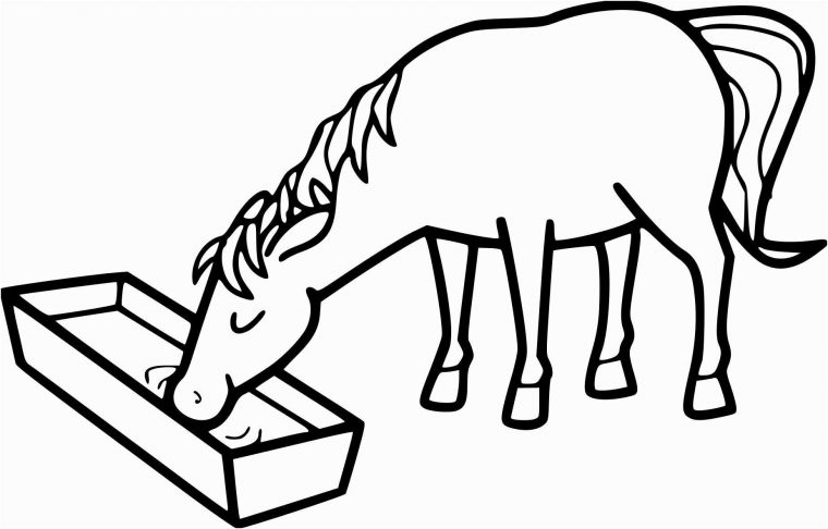 8 Simple Coloriage Cheval Et Poulain Gallery | Coloriage pour Jeux De Coloriage De Cheval