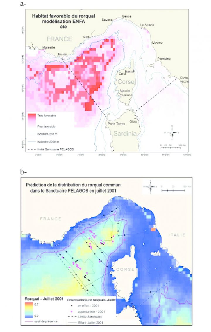 A-Carte D'habitat Favorable Du Rorqual Commun En Été avec Jeu Carte De France