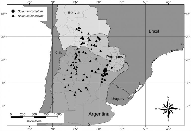 A Revision Of Solanum Section Lathyrocarpum (The Carolinense intérieur Revision Grande Section A Revision Of Solanum Section Lathyrocarpum (The Carolinense intérieur Revision Grande Section