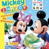 Abonnement Magazine Fille De 5 Ans - Mickey Junior pour Jeux Pour Les Petit De 5 Ans