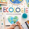 Activités Écologie En Maternelle + Fiches D'activités À serapportantà Jeux Educatif Maternelle Petite Section