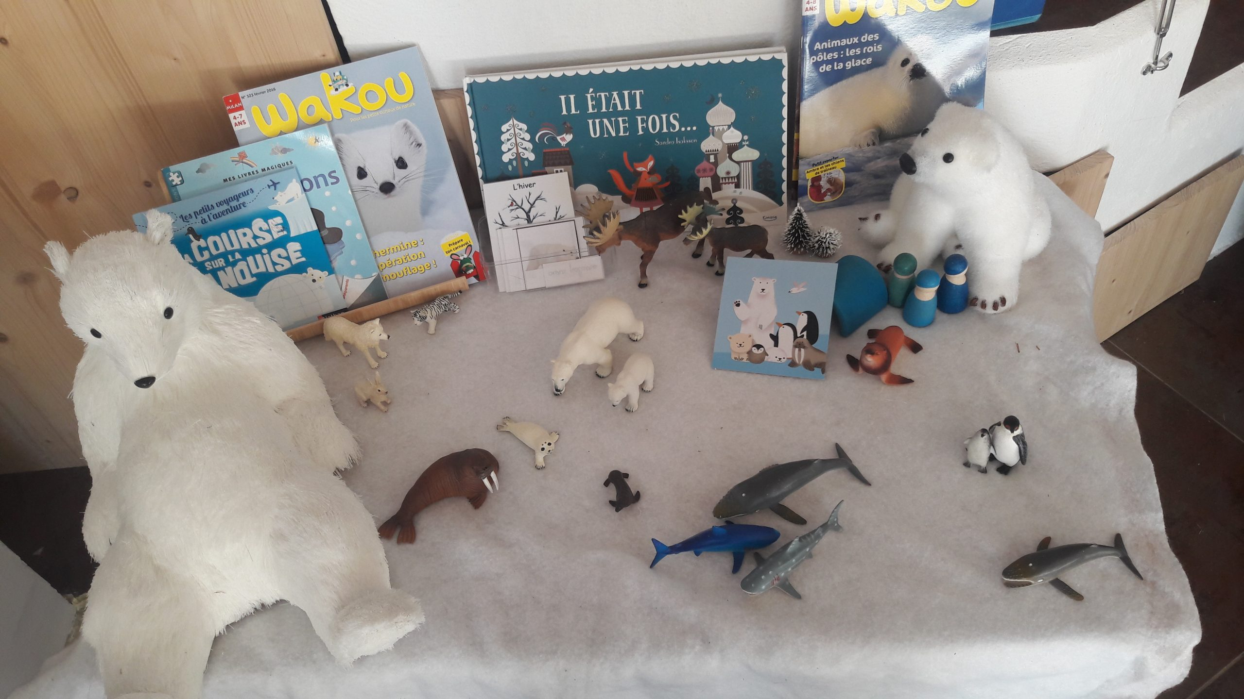 Activités Montessori Sur L'hiver, Le Pôle Nord Et Le Pôle à Activité Montessori 3 Ans