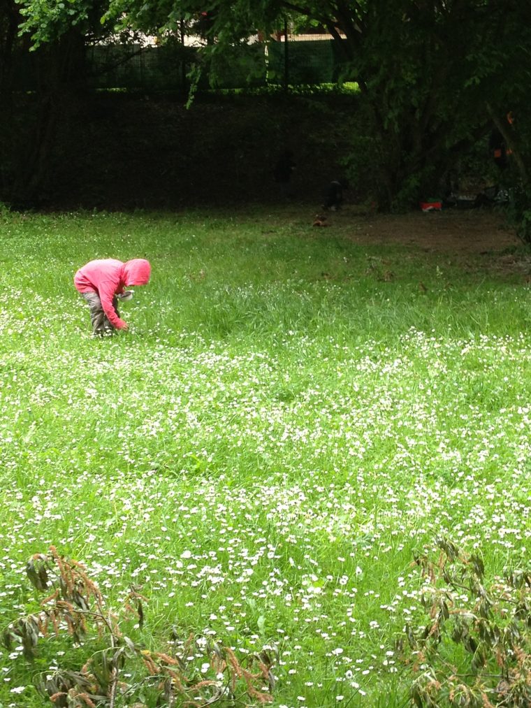 Activités « Nature » Autour Des 5 Sens – Ecole Marie-Thérèse concernant Les 5 Sens Activités Maternelle