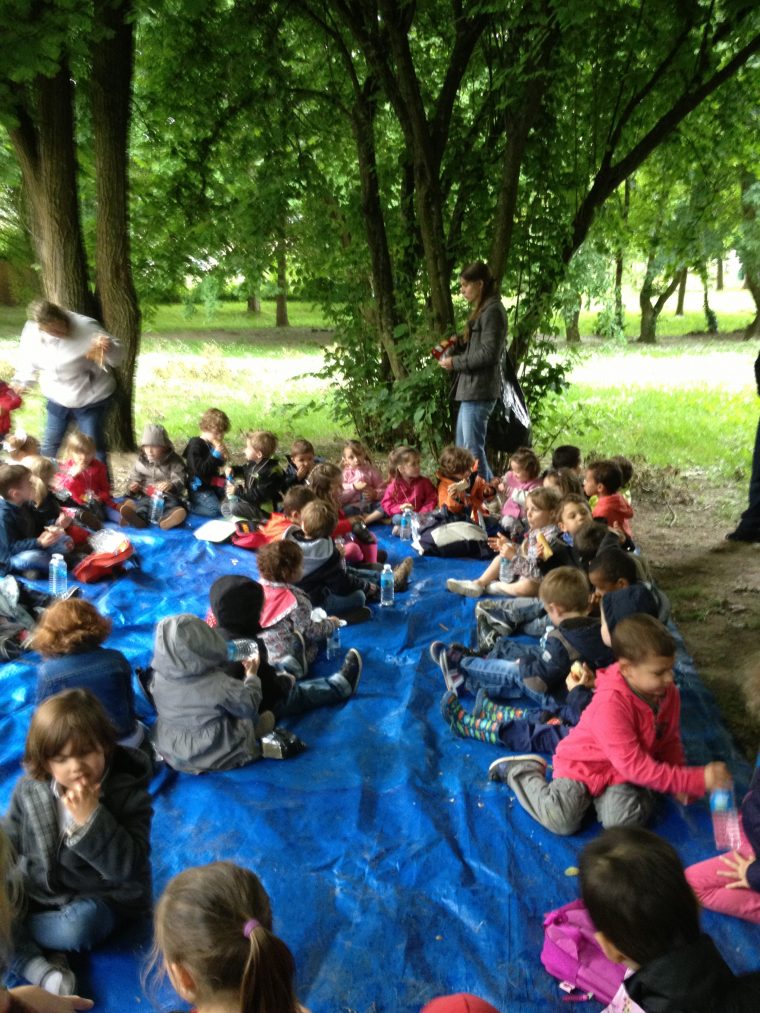 Activités « Nature » Autour Des 5 Sens – Ecole Marie-Thérèse destiné Les 5 Sens Activités Maternelle