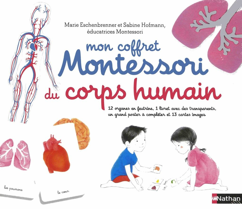 Activités Sur Le Corps Humain En Maternelle : Nos Ressources destiné Le Corps Humain En Maternelle 